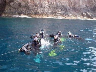  diving group photo 